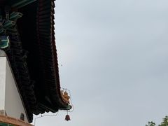 -颐和园