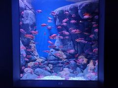 -成都浩海立方海洋公园