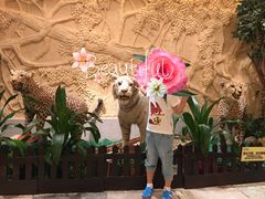 -麒麟中餐厅·经典粤菜·地道菜式老字号(广州长隆酒店)