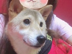 -猫色咖啡·猫咖
