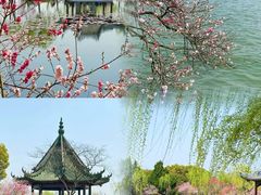 -无锡蠡湖国家湿地公园-蠡园