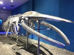 -福州罗源湾海洋世界旅游区