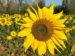 -汉长安城未央宫国家考古遗址公园