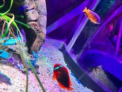 -沈阳海洋探索中心