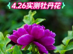 -太阳宫公园