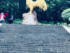-海口火山口国家地质公园