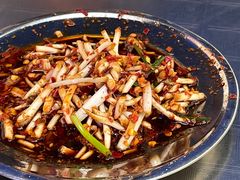 -杨记烤肉老店