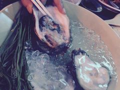 Mr.&nbsp;99&nbsp;Steak&nbsp;and&nbsp;Seafood&nbsp;Restaurant-Mr. 99 Steak and Seafood Restaurant