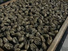 -蚝乡农庄(铁涌赤岸店)