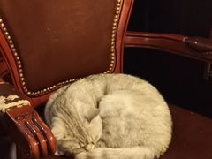 -不舍昼夜咖啡馆