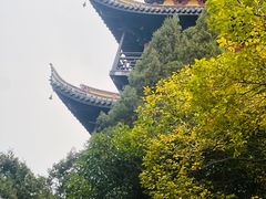 -常熟方塔园