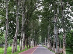 -东郊湿地公园