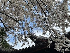 -龙华寺