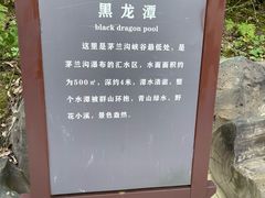 -茅兰沟国家森林公园