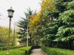 -贮水山儿童公园