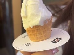 -野人先生现做冰淇淋(北京顺义祥云小镇店)