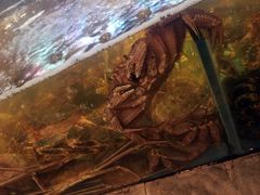 -蟹之国·精品蟹料理(极地店)