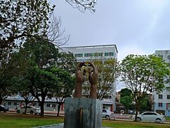 -湛江艺术学校