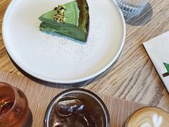 开心果巴斯克-溯洄咖啡VORTEX COFFEE