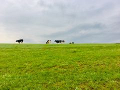 -莫日格勒旅游景区