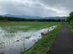 -长兴太湖图影湿地文化园