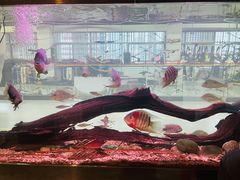 -弓舍射箭俱乐部(高新总店)