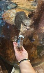 -Zoolung Zoolung动物主题公园(海信广场店)