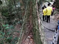 -七仙岭温泉国家森林公园