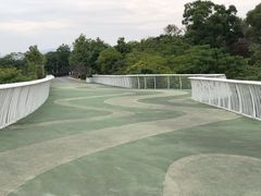 -飞凤山奥体公园