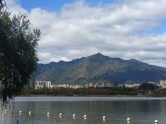 -飞来湖湿地公园