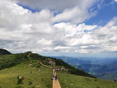 -白草畔自然风景区