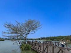 -海珠湖公园