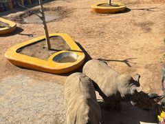 -西霞口神雕山野生动物世界