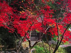 -东湖听涛景区