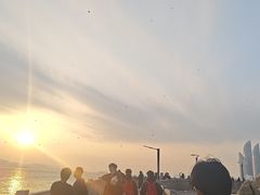 -白城沙滩