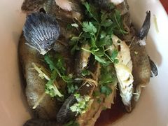 -灯笼馆海鲜餐厅