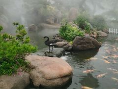 -罗红摄影艺术馆