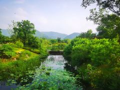 -雅达·阳羡溪山小镇中心