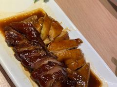 -南枝记