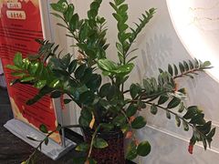 -海富门·带鱼·淮扬菜·粤菜(甘家口店)