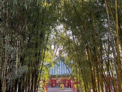 -潭柘寺景区