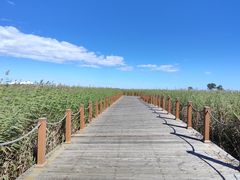 -黑龙江扎龙生态旅游区