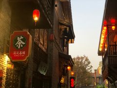 -武汉园博园(武汉自然博物馆)