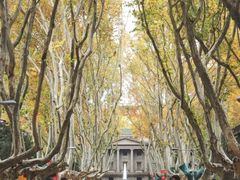 -东南大学(四牌楼校区)