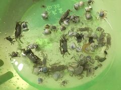 -北海金海湾红树林生态旅游区