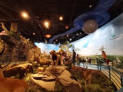 -陕西自然博物馆