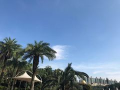 -圣爵菲斯大酒店(长沙世界之窗店)