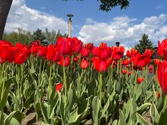 -长春公园(普阳街道)