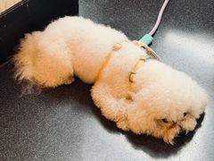 -星巴克臻选(深圳万象天地旗舰店)