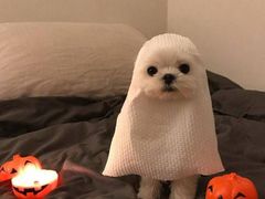 -觅山云南菜(泊富ICITY店)